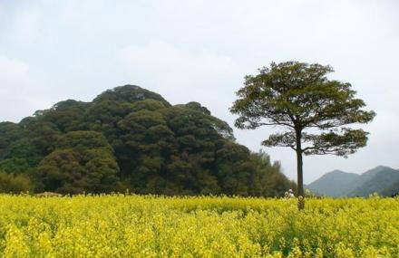 南宁石门森林公园