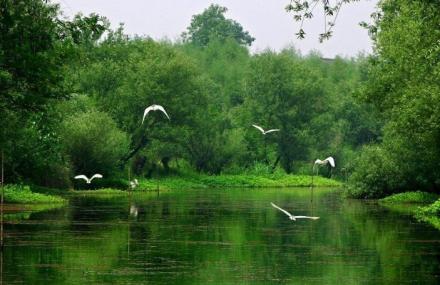 杭州西溪湿地西区