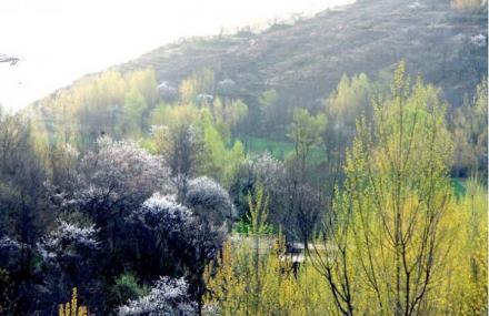 郑州伏羲山飞龙峡