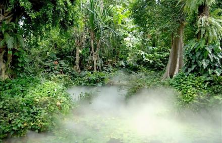 广州华南植物园温室群