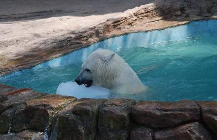 大连野生放养园