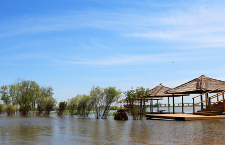哈尔滨金河湾湿地植物园
