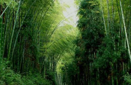 广州竹园公园
