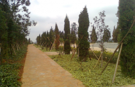 昆明祭虫山森林公园