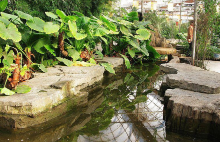 南京绿色生态园