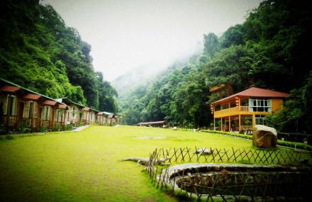 泉州桫椤谷野外生存