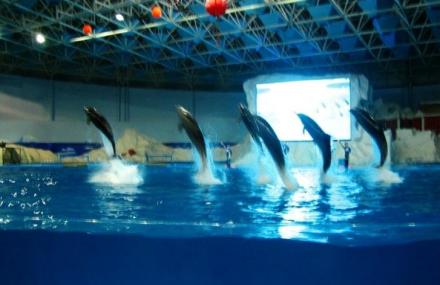 武汉海昌极地海洋世界