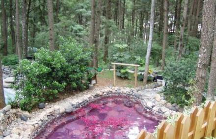 昆明安宁温泉心景酒店露天温泉