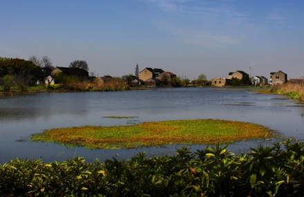 苏州中国花卉植物园