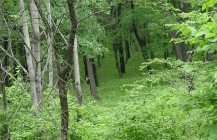 哈尔滨玉泉国际狩猎滑雪场