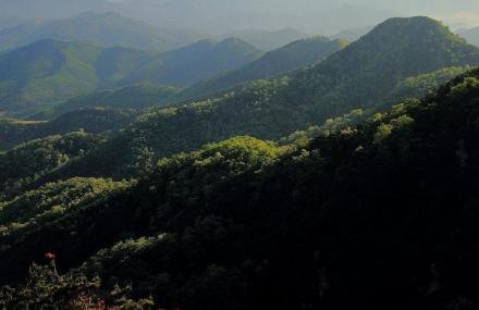 烟台牙山国家森林公园