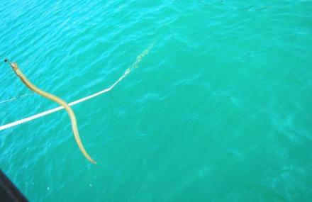 三亚皇后湾景区