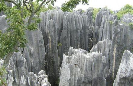 天津元古奇石林