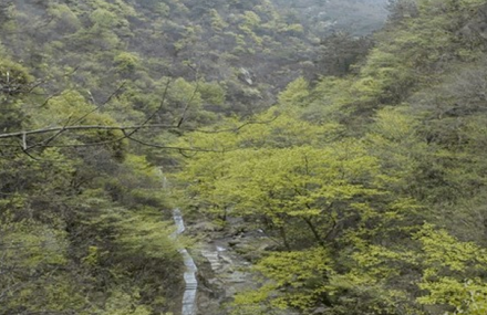 安庆披雪瀑风景区