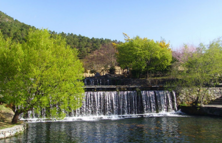 西双版纳南药园