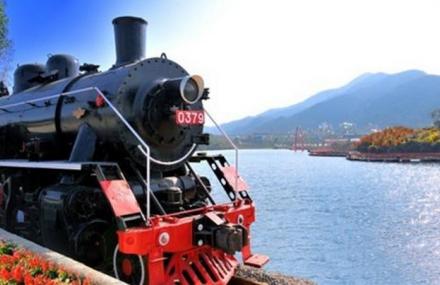 深圳山海踏春火车营地旅馆