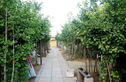 北京水上人家农家院