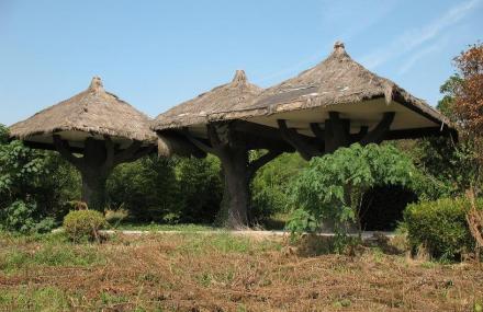 上海青青旅游世界