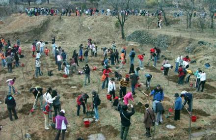 北京怀柔植树基地