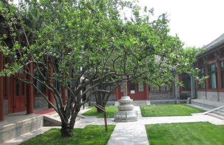 上海宋庆龄故居