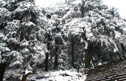 重庆摩围山风景区