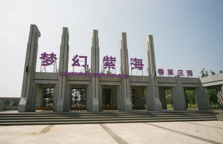 北京梦幻紫海香草庄园