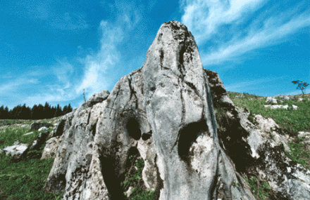 重庆龙缸地质公园