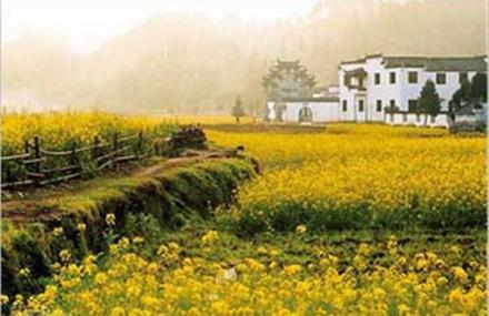 丹东大梨树村生态旅游区