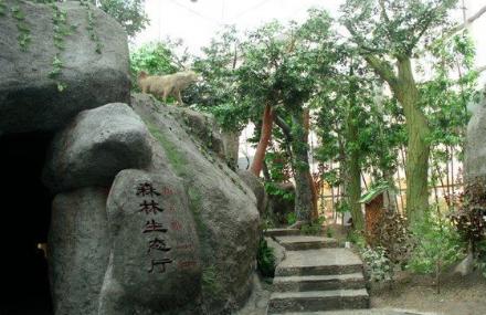 南阳宝天曼自然博物苑
