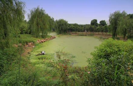 无锡梁鸿湿地公园
