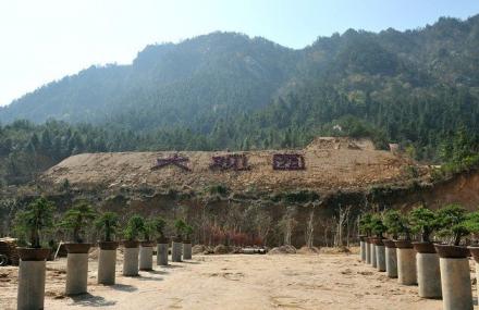 安庆大别山映山红生态文化大观园