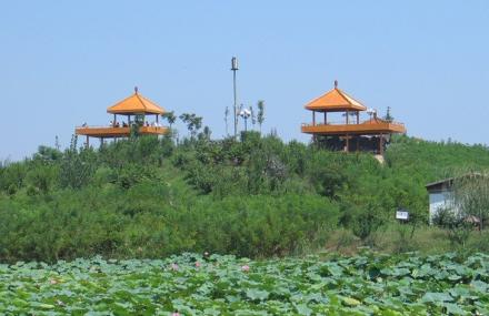 保定荷花大观园