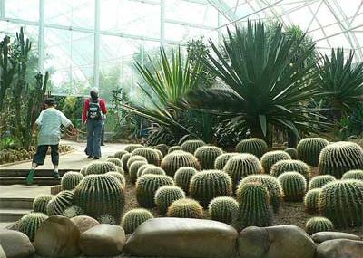 大连森林动物园热带雨林馆