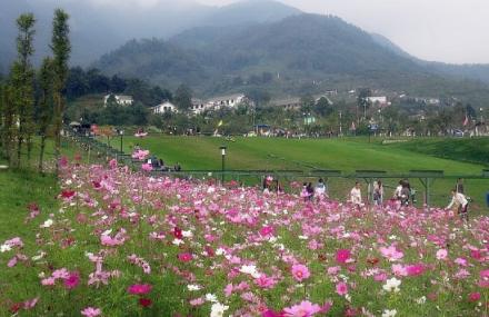 德阳九龙滑草场