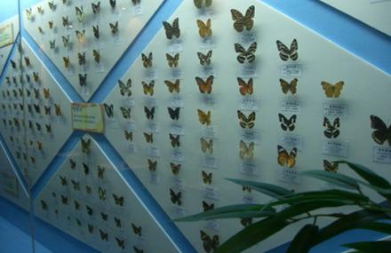 湖州清泉自然科学探索园