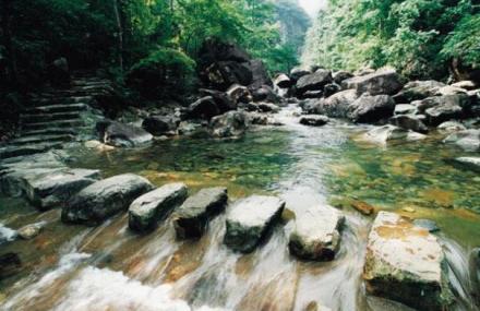温州花岩国家森林公园