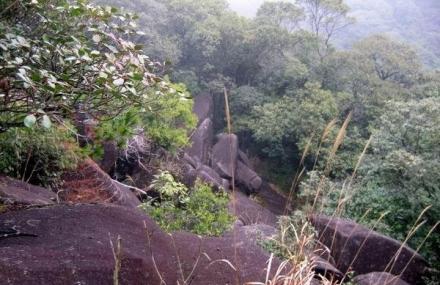漳州贡鸭山森林公园