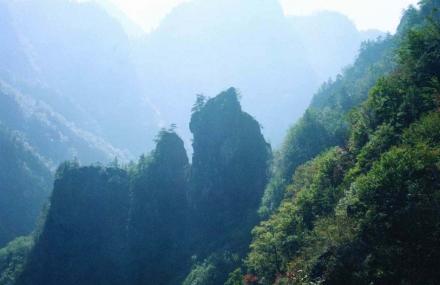 洛阳鸭石红豆杉景区