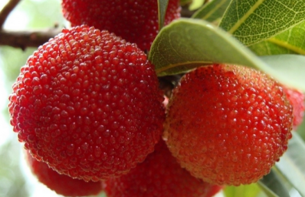 宁波姚岙生态基地