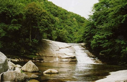 南阳西峡寺山国家森林公园