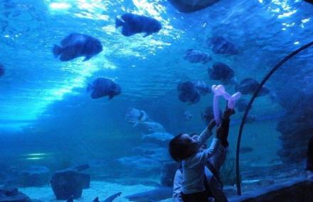 金华义乌海洋世界