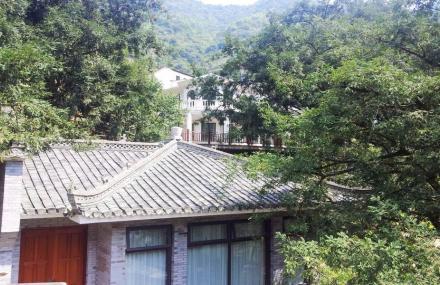 绍兴香榧森林公园