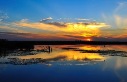哈尔滨滨江湿地