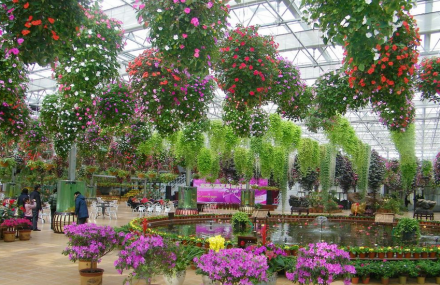 无锡江阴嘉茂国际花鸟园