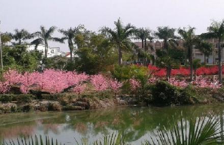 江门富丽湾桃花岛