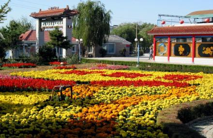 秦皇岛集发生态农业观光园