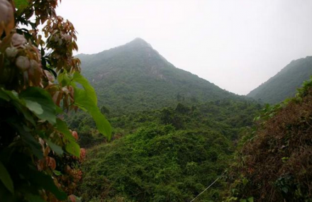 深圳市天然园山风景区