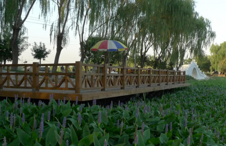 北京翠湖新景鱼村烧烤