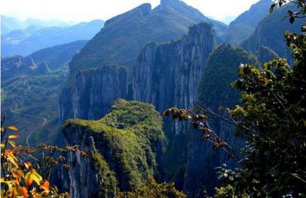 恩施八峰森林公园