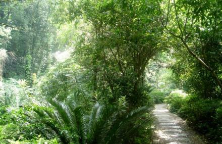桂林园林植物园